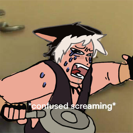 s c r e a m in g ! !